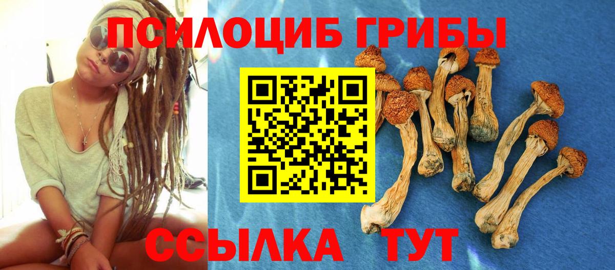 Галлюциногенные грибы прущие грибы Ивантеевка